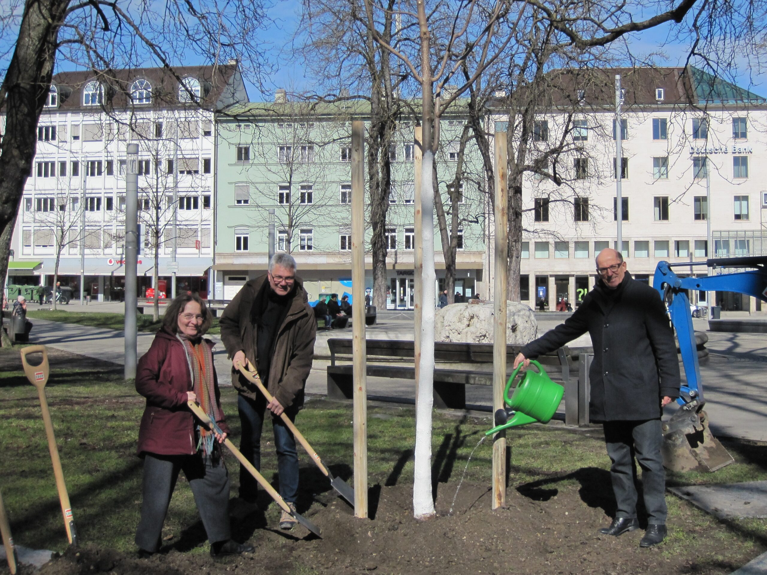 Josef Saule Landschaftsbau Stiftung spendet neue Bäume für den Königsplatz